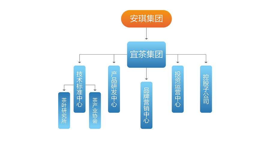 组织架构