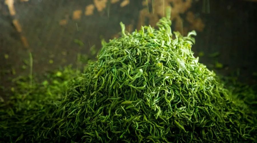 宜昌名茶