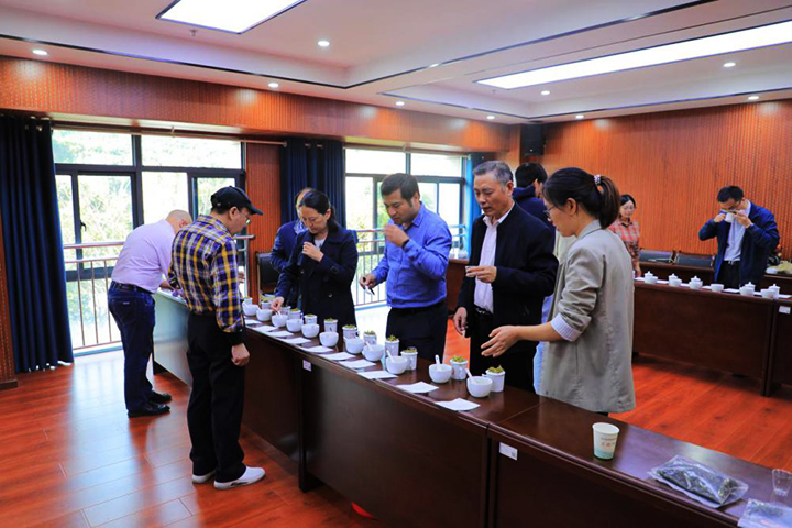 720 图:活动现场专家鉴评茶样.jpg 720 图:活动现场专家鉴评茶样.jpg