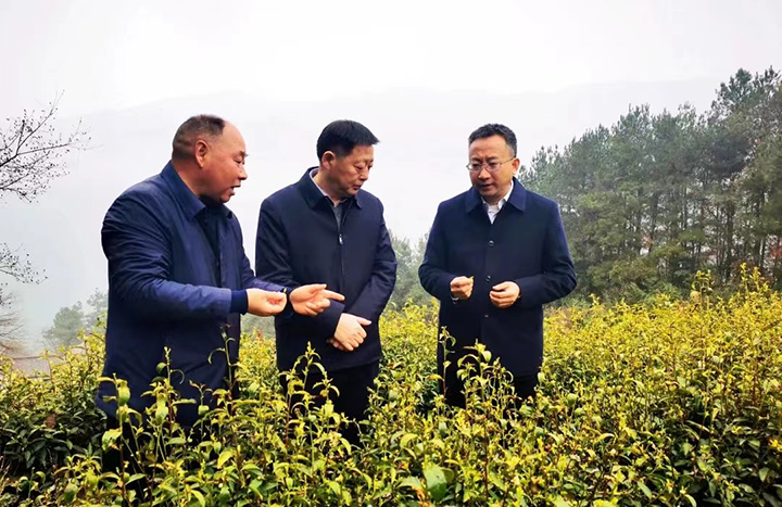 国资委主任调研.jpg 国资委主任调研.jpg