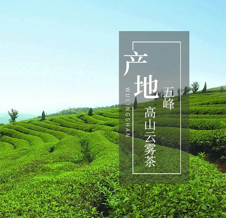 新 3.png 新 3.png