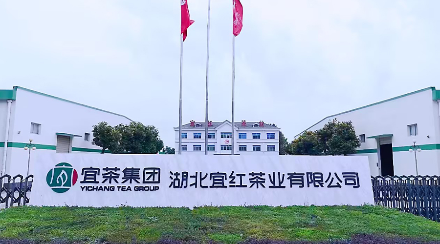CA88集团宜红茶业