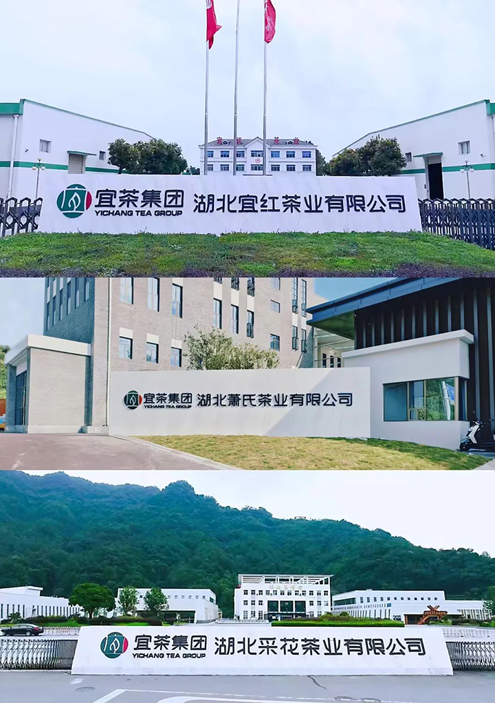 b.jpg b.jpg