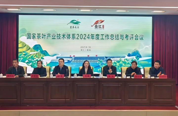 国家茶叶产业技术体系2024年度工作总结与考评会议在宜昌召开