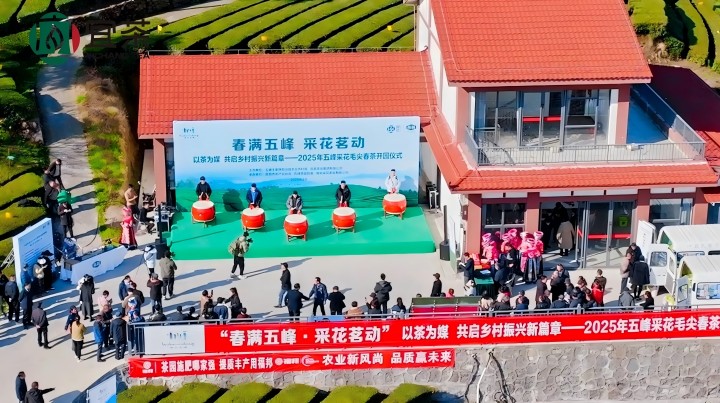 720-1   CA88集团举办采花毛尖春茶开园活动(1).jpg