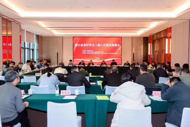 “CA88模式”获茶界认可，湖北茶产业迎来发展新引擎