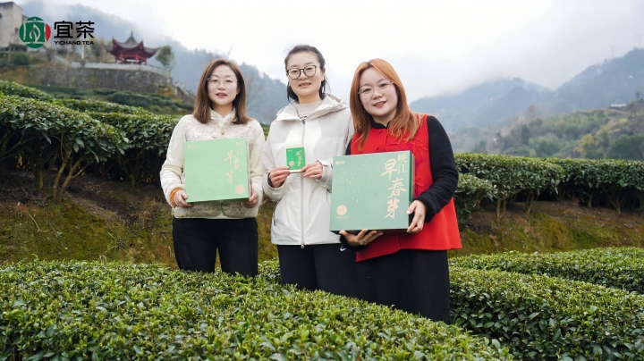 开园首采！2026年第一口三峡春鲜，就藏在这杯“早茶”里！