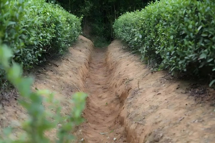 720 02.jpg